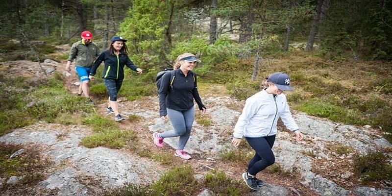 Discover Hidden Trails and Outdoor Adventures in Stockholm